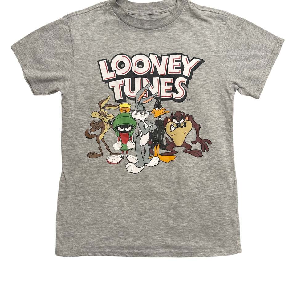 Looney Tunes Character Group Gray T-Shirt